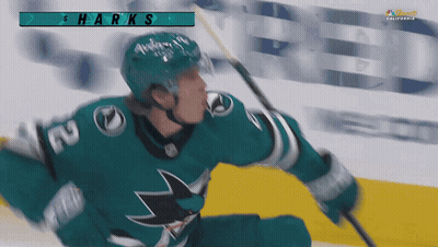San Francisco Sharks Hockey Player Holding Stick GIF