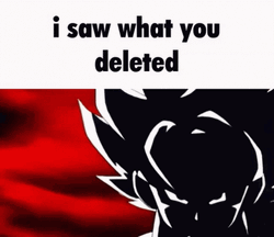 San Goku I Saw What You Delete GIF
