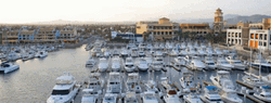 San Marino Amazing Fishing Charters GIF