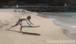 Sand Surfing Funny Beach GIF