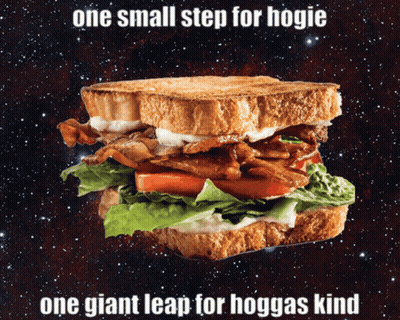 Sandwich One Small Step For Hogie One Giant Leap For Hoggas GIF