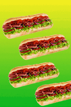 Sandwich Subway GIF