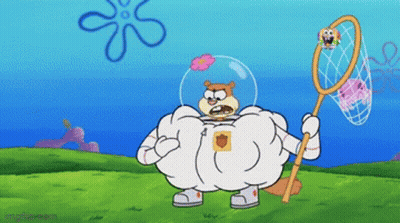 Sandy Cheeks From Spongebob Squarepants Is Holding A Net In Her Hand GIF