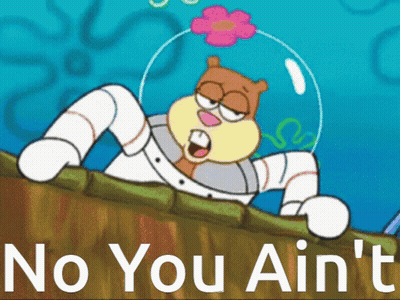 Sandy Cheeks Says No You Ain't GIF