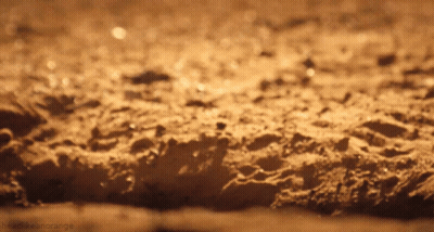 Sandy Surface With Headlikeanorange GIF