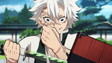 Sanemi Fighting Style And Main Weapon GIF