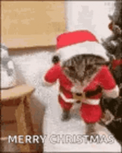 Santa Cat Merry Christmas Meme GIF