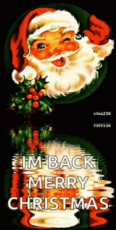 Santa Claus Saying Im Back Merry Christmas GIF