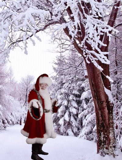 Santa Claus Standing In Snow With Tree GIF