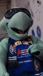 Santa Cruz Warriors Turtle Mascot Dancing GIF