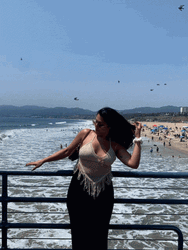 Santa Monica Pier Beach Birds GIF