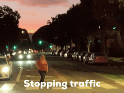 Santa Monica Stopping Traffic