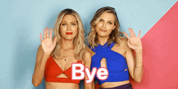 Sara Foster Bye Bye Meme GIF