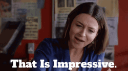 Sara J Dunnigan That Is Impressive GIF