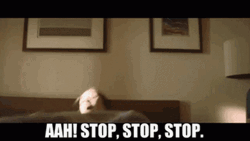 Sarah Wilder Stop Wake Up Dream GIF