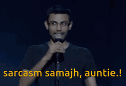Sarcasm Auntie Stand Up Comedy  GIF