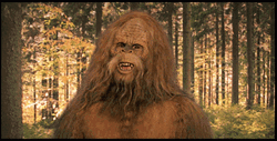 Sasquatch Nodding Yes GIF