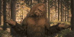 Sasquatch Shaking Head Open Arms GIF