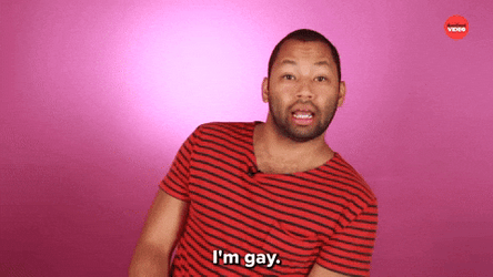 Sassy Gay Admits Meme GIF