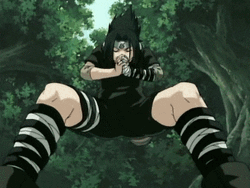 Sasuke Ninja Technique