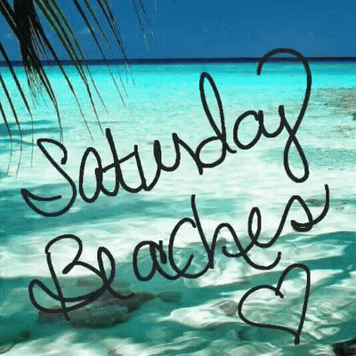 Saturday Beaches Beach GIF