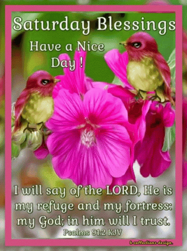 Saturday Blessings Have A Nice Day With Two Birds And A Pink Flower GIF
