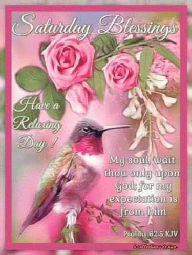Saturday Blessings Have A Relaxing Day With Pink Roses And A Hummingbird GIF