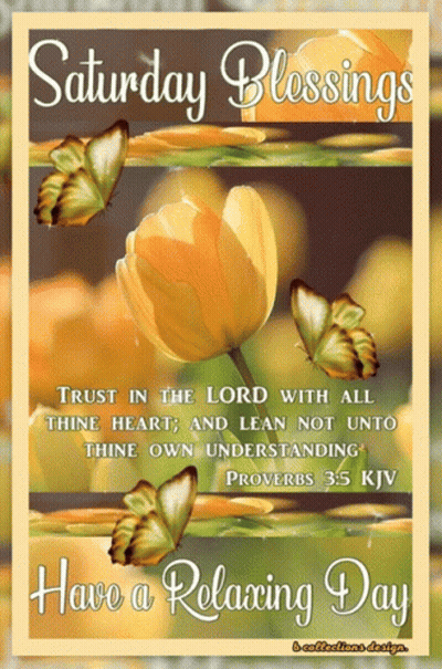 Saturday Blessings Relaxing Day With Butterflies And Flower GIF