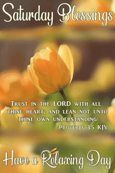 Saturday Blessings Relaxing Day Yellow Flower GIF