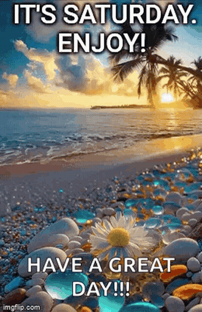 Saturday Enjoy Have A Great Day GIF