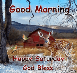 Saturday Morning Beautiful Farm With Animals  GIF