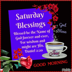Saturday Morning Beautiful Message In Flower Frame  GIF