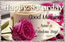 Saturday Morning Rose Beside A Coffee Mug  GIF