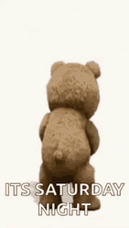 Saturday Night Drinking Ted Bear Shake Meme GIF