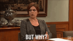 Saturday Night Live Cecily Strong But Why  GIF