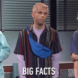 Saturday Night Live Facts GIF