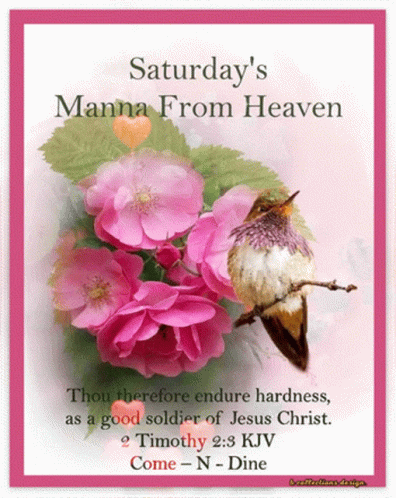 Saturday 'S Manna From Heaven With A Hummingbird And Pink Flowers GIF