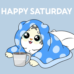 Saturday Saturdays GIF
