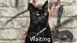 Saucy Black Cat Nail File Waiting GIF