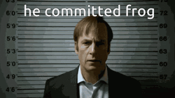Saul Goodman Taking Mug Shot Committed Frog Meme GIF
