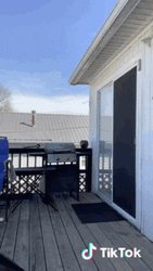 Savage Dance Performance GIF