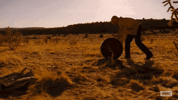 Savanna Rolling Walter White  GIF