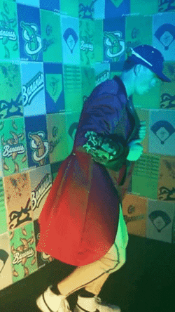 Savannah Bananas Bus GIF