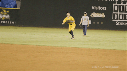 Savannah Bananas Fair Catch GIF