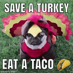 Save A Turkey Eat A Taco