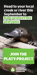 Save And Protect Platypus GIF