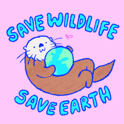Save Earth Wildlife