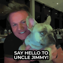 Say Hello Ptsd Dog GIF