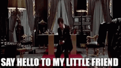 Say Hello To My Little Friend GIF