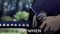 Say When To Get The Sword GIF